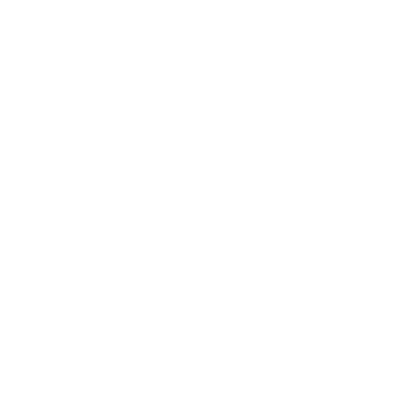 Solution SAP Air France